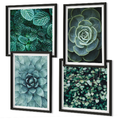 Set of 4 wall art pieces Succulents in green and turquoise