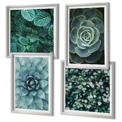 Set of 4 wall art pieces Succulents in green and turquoise
