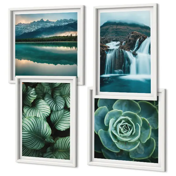 Multi-piece wall decor set featuring close-ups of succulent plant leaves