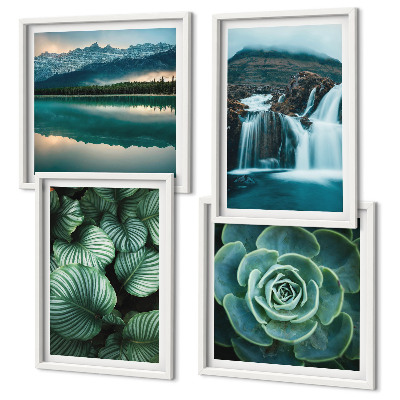 Multi-piece wall decor set Close-ups of succulent plants leaves