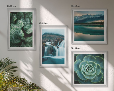 Multi-piece wall decor set Close-ups of succulent plants leaves