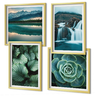 Multi-piece wall decor set Close-ups of succulent plants leaves