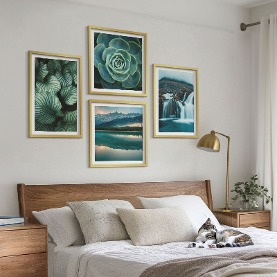 Multi-piece wall decor set Close-ups of succulent plants leaves