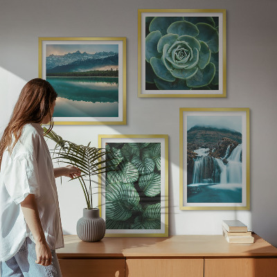 Multi-piece wall decor set Close-ups of succulent plants leaves