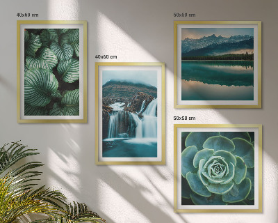 Multi-piece wall decor set Close-ups of succulent plants leaves