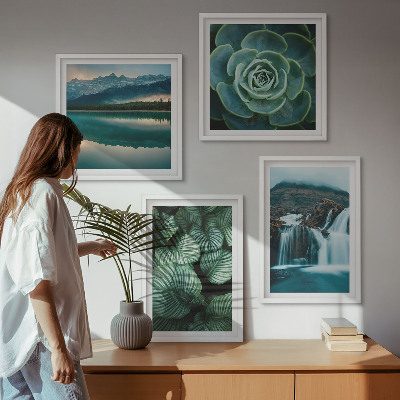 Multi-piece wall decor set Close-ups of succulent plants leaves