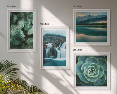 Multi-piece wall decor set Close-ups of succulent plants leaves