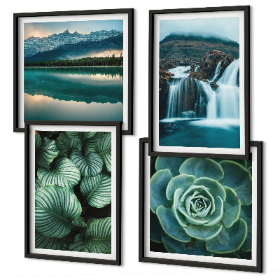 Multi-piece wall decor set Close-ups of succulent plants leaves