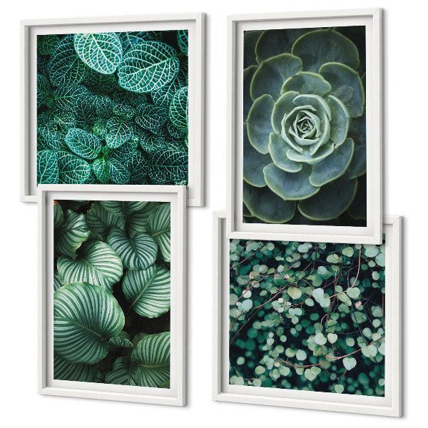 Multi-piece wall decor set Green leaves of stylish succulents