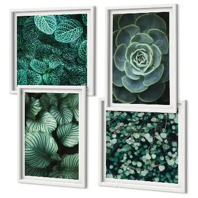 Multi-piece wall decor set with green succulent leaf prints