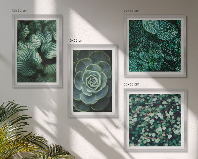 Multi-piece wall decor set Green leaves of stylish succulents