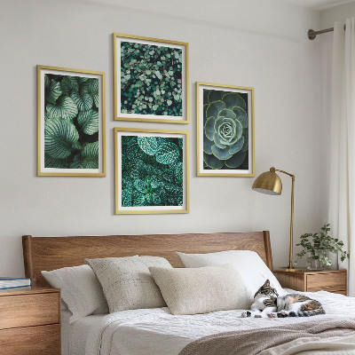 Multi-piece wall decor set Green leaves of stylish succulents