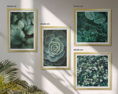 Multi-piece wall decor set Green leaves of stylish succulents