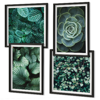 Multi-piece wall decor set Green leaves of stylish succulents