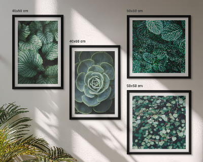 Multi-piece wall decor set Green leaves of stylish succulents
