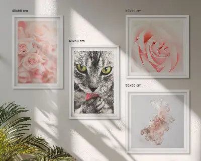 Gray cat and roses abstract wall art set of 4 pieces
