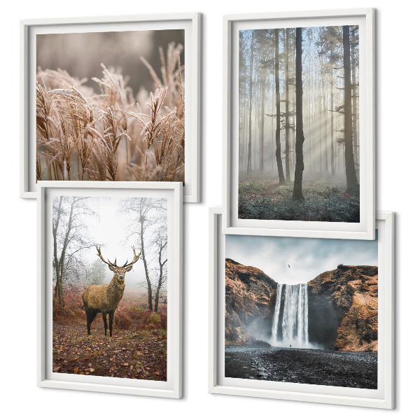 Multi-piece wall decor set Forest landscapes of wild nature