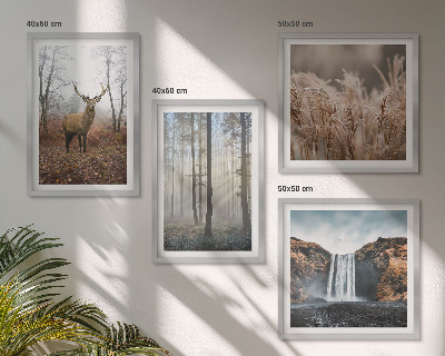 Multi-piece wall decor set Forest landscapes of wild nature
