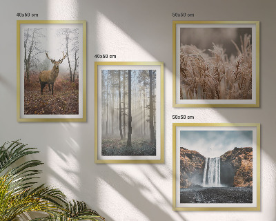 Multi-piece wall decor set Forest landscapes of wild nature