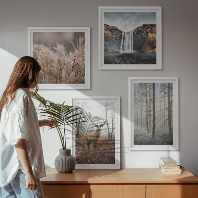 Multi-piece wall decor set Forest landscapes of wild nature