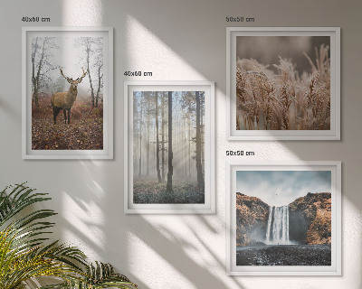 Multi-piece wall decor set Forest landscapes of wild nature