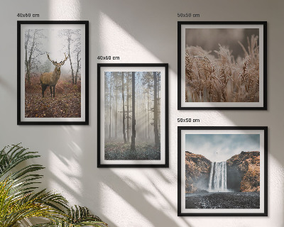 Multi-piece wall decor set Forest landscapes of wild nature