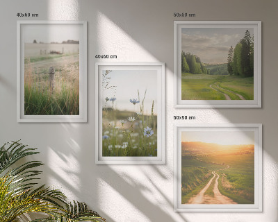 Wall art set Landscapes nature fields sun