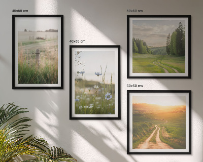 Wall art set Landscapes nature fields sun