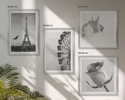 Wall art set featuring a rose, Eiffel Tower, horse, and Ferris wheel in black and white