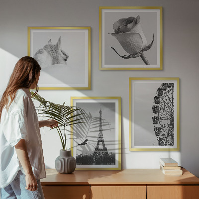 Wall art set Rose Eiffel Tower Horse Ferris Wheel B&W