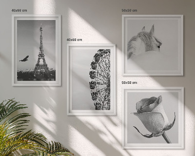 Wall art set Rose Eiffel Tower Horse Ferris Wheel B&W