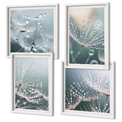 Multi-piece wall decor set Water drops on dandelion shoots