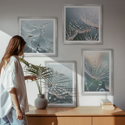 Multi-piece wall decor set Water drops on dandelion shoots