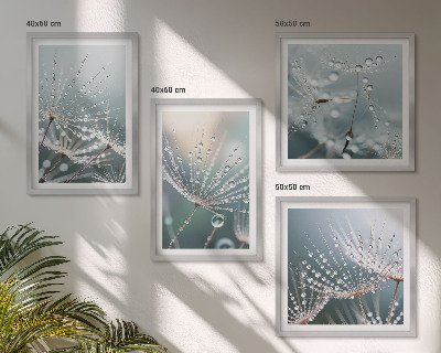 Multi-piece wall decor set Water drops on dandelion shoots