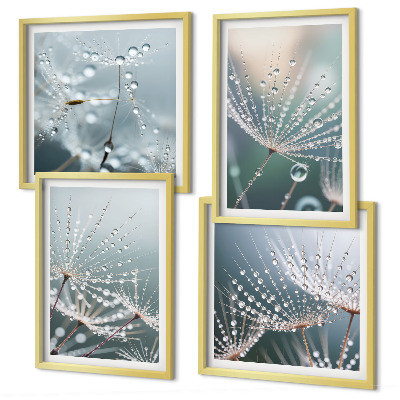 Multi-piece wall decor set Water drops on dandelion shoots