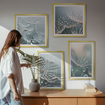 Multi-piece wall decor set Water drops on dandelion shoots