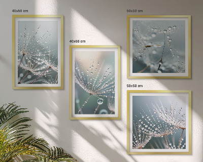 Multi-piece wall decor set Water drops on dandelion shoots