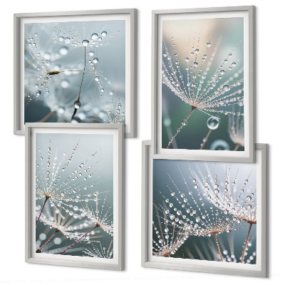 Multi-piece wall decor set Water drops on dandelion shoots