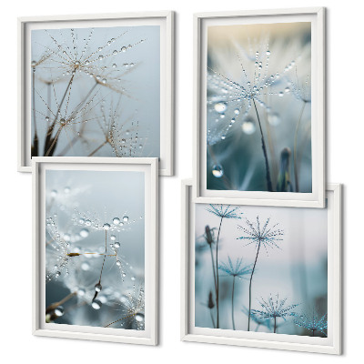 Wall art set Dewdrops on dandelions