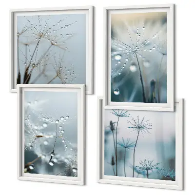 Dewdrops on dandelions wall art set