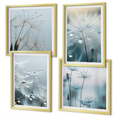 Dewdrops on dandelions wall art set