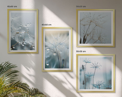 Wall art set Dewdrops on dandelions
