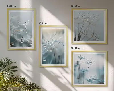 Dewdrops on dandelions wall art set