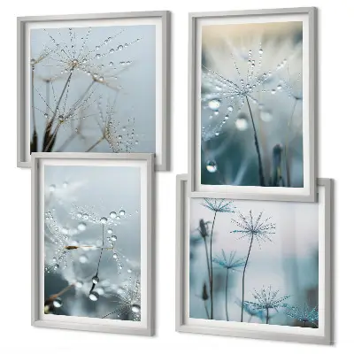 Dewdrops on dandelions wall art set