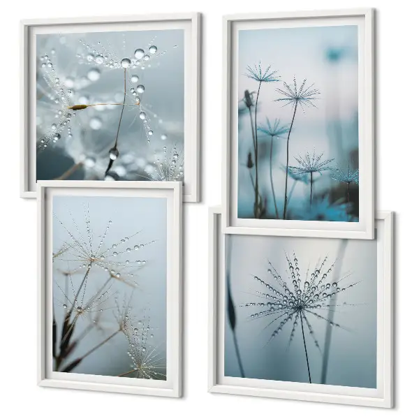 Dandelion water drops wall art set of 4 pieces
