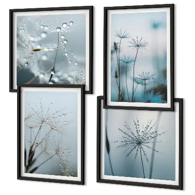 Dandelion water drops wall art set of 4 pieces