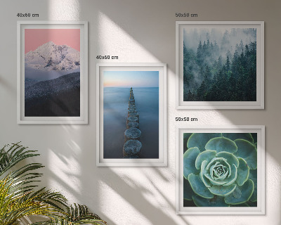 Wall art set Mountains pink sky water succulent