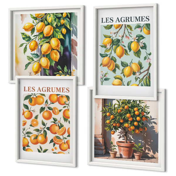 Wall art set Fruity citrus patterns