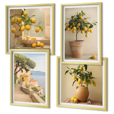 Wall art set Lemon trees in pots