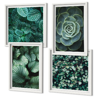 Set of 4 wall art pieces Green succulent leaves